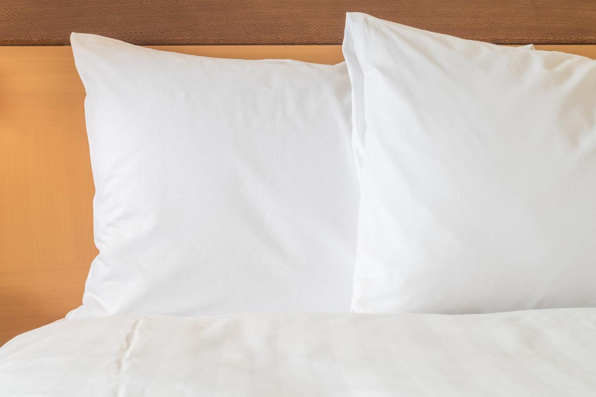 Crowne Plaza San Antonio Airport By Ihg Hotel Екстериор снимка